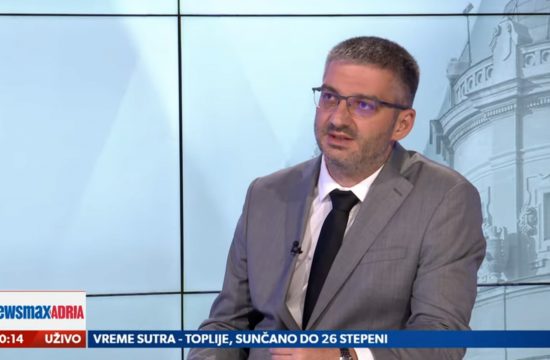 Mihailo Pavlović, gost, emisija Pregled dana