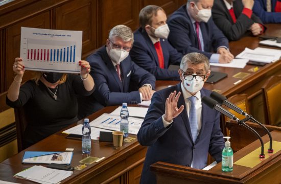 Andrej Babiš, Češka, parlament, glasanje