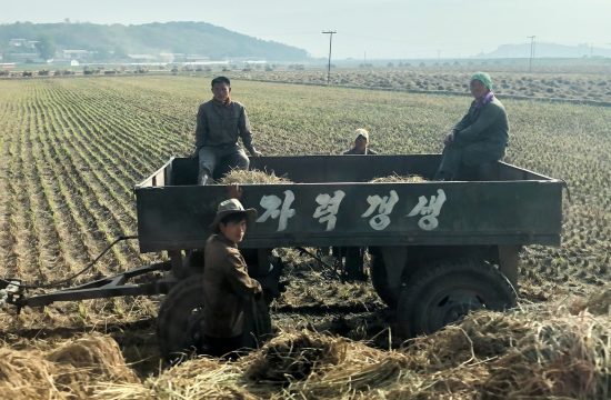 Severna Koreja hrana