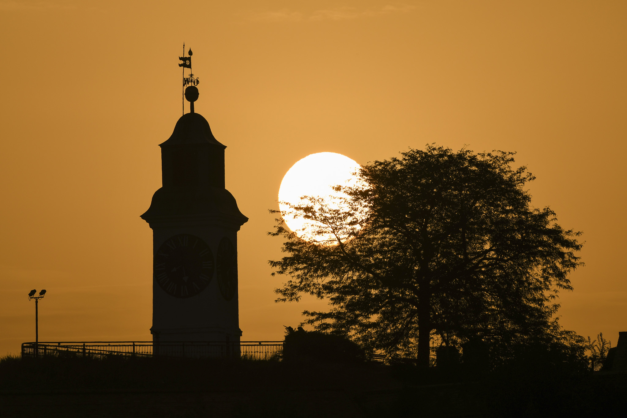 Vrucina Novi Sad