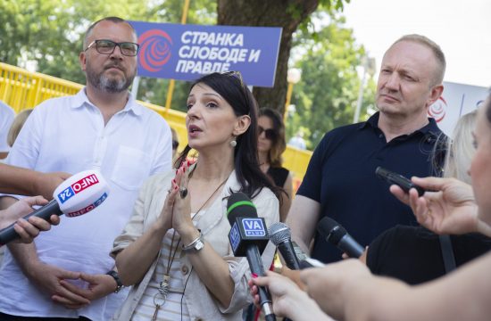 Marinika Tepić i Dragan Đilas, Dragan Djilas, Stranka slobode i pravde, SSP