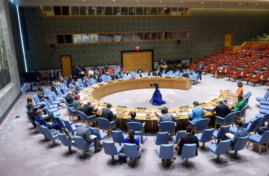 Sednica bezbednosti UN