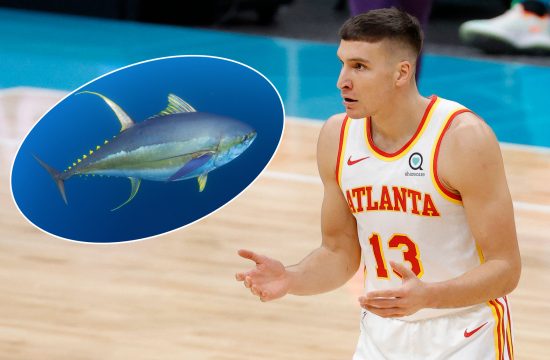 Bogdan Bogdanović, žutorepa tuna