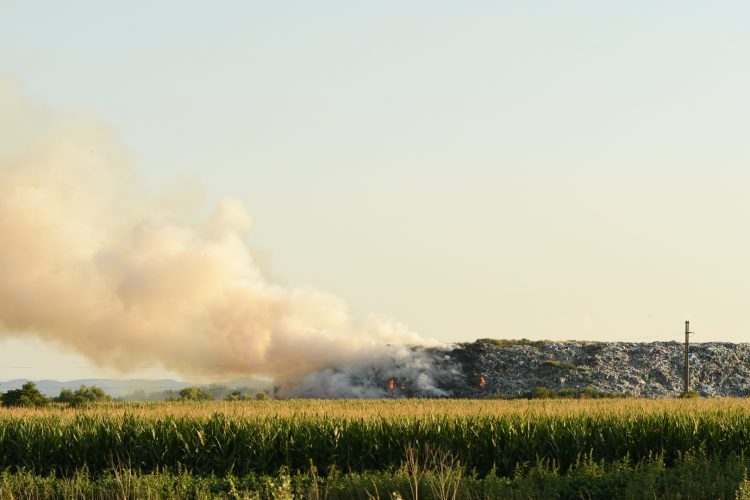 Novi Sad, Gori deponija u Novom Sadu, požar, deponija, vatra