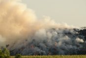 Novi Sad, Gori deponija u Novom Sadu, požar, deponija, vatra