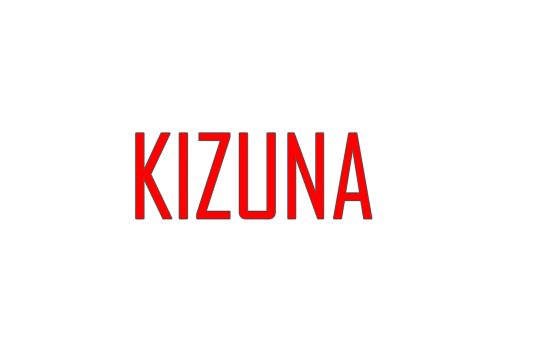 Kizuna, Japan Fest