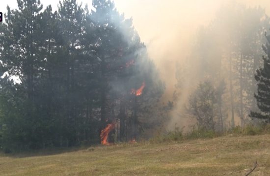 Prevencija najbolja zaštita šuma od požara