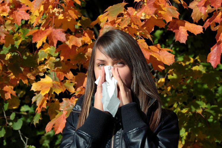 Kijavica alergija prehlada curenje nosa