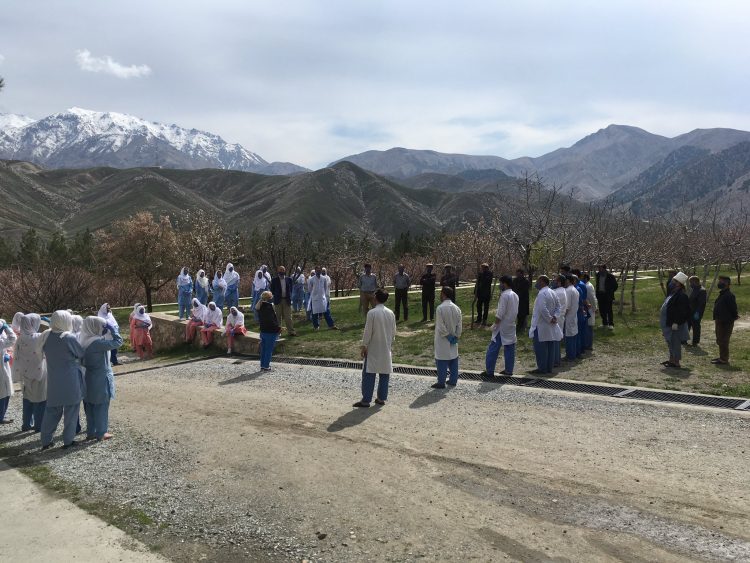 Monika Grujičić, Kabul