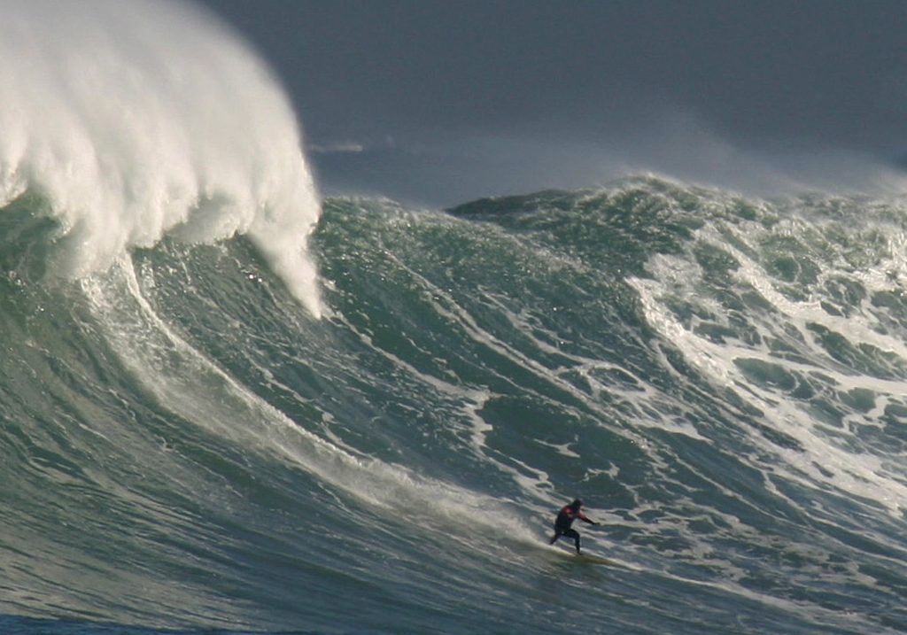 Surfer, velika bela ajkula