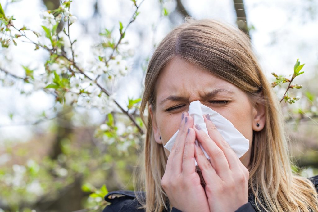 kalendar grip prehlada alergija