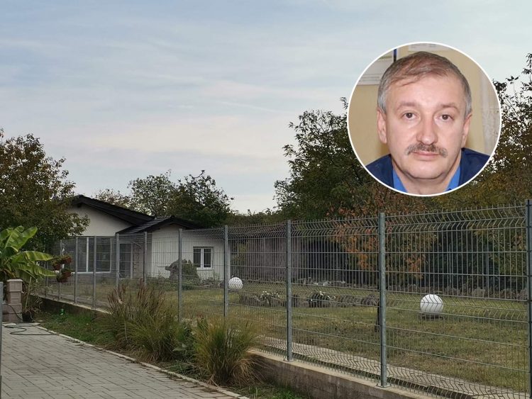 Kuća sina ubice, Goran Džonić