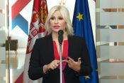 Mihajlović: Nema odluke o litijumu bez studije i referenduma