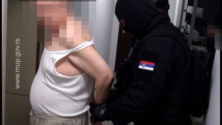 Hapšenje pedofila širom Srbije