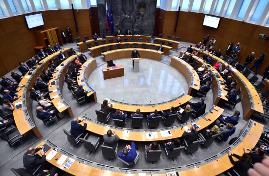 Slovenija, parlament