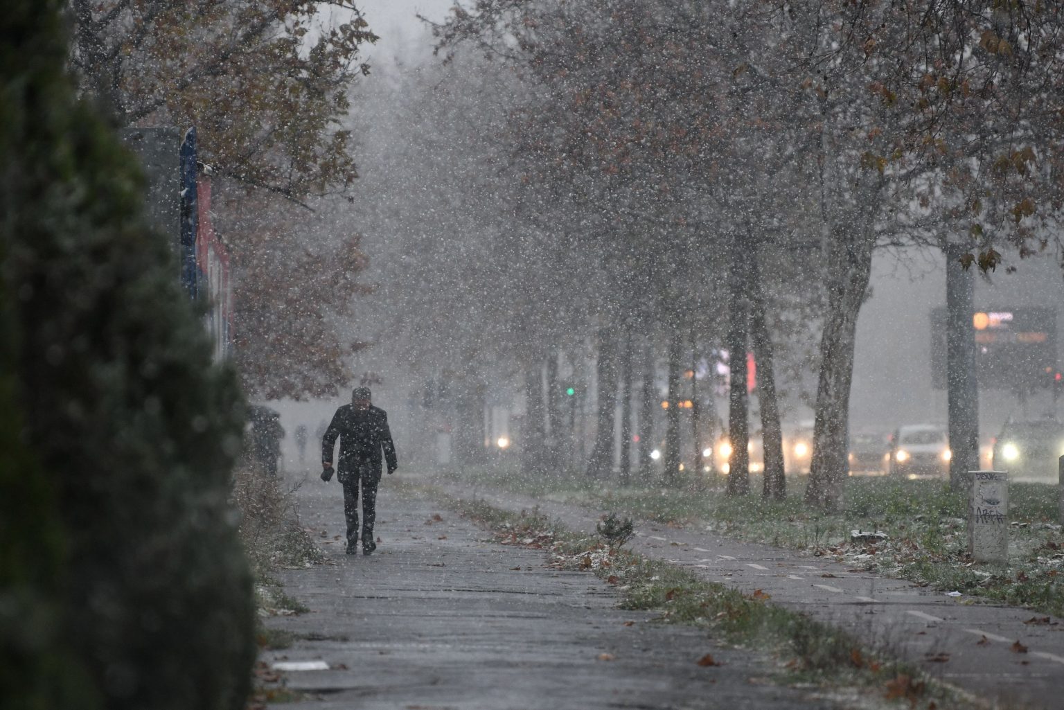 Meteorolog Todorović Otkriva Kada će Pasti Prvi Sneg U Beogradu