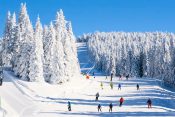 Kopaonik, skijanje, sneg