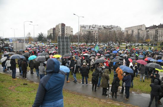 Ekoloski protest