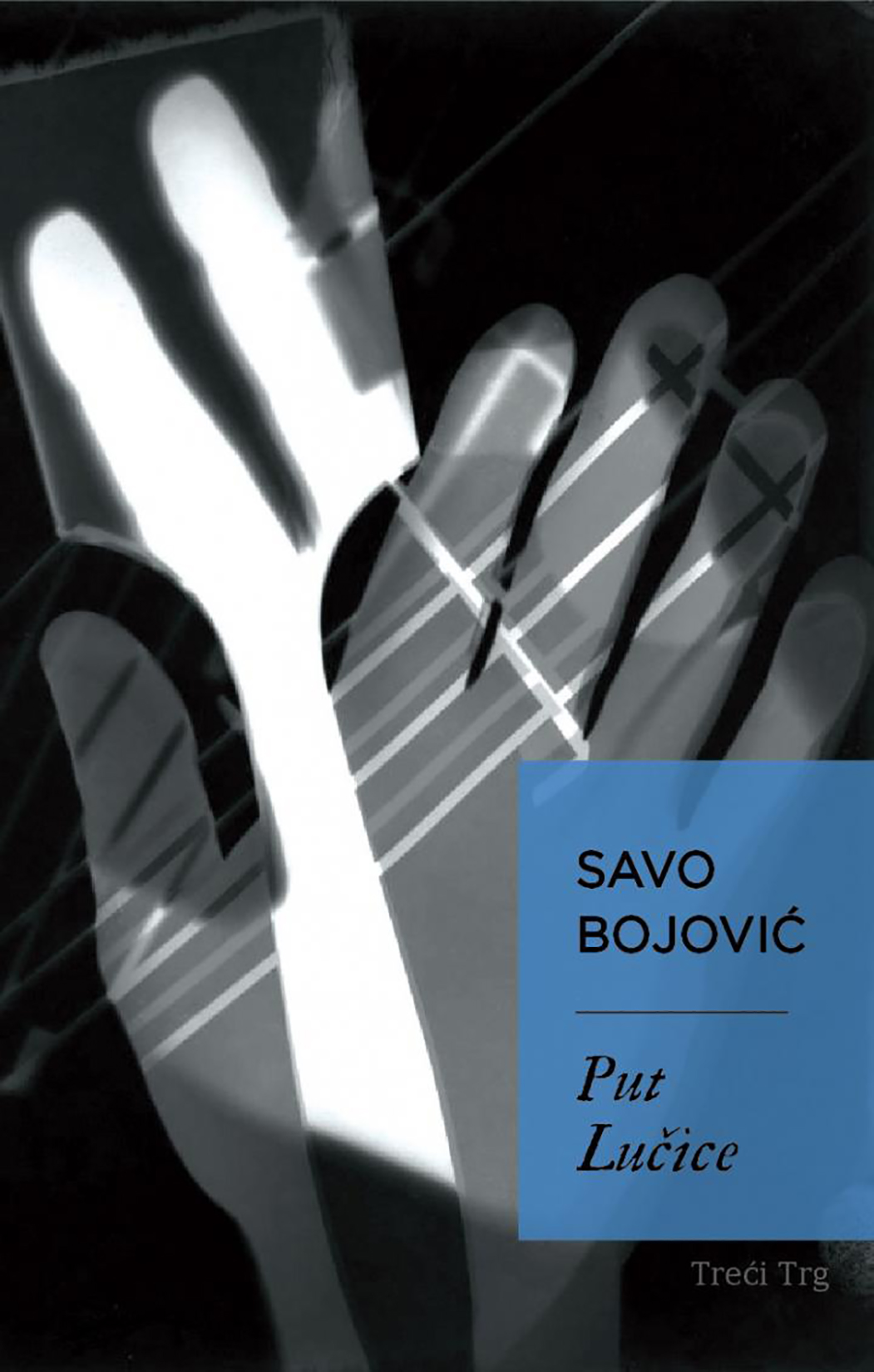 Savo Bojović, Put Lučice, knjiga, korice