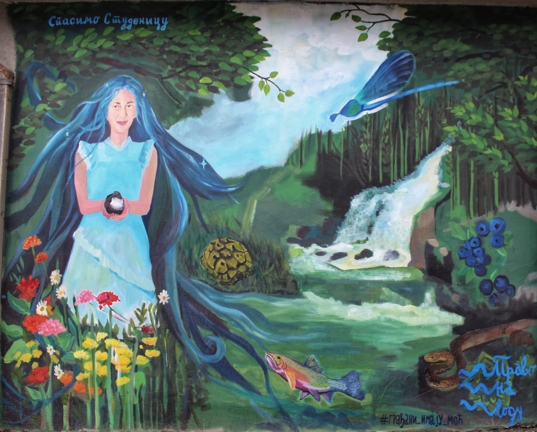 Mural posvecen reci Studenici, otkrivanje murala u Uscu na Ibru