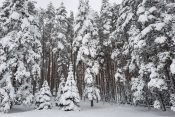 Zlatibor planina sneg turisticka zimske sezona