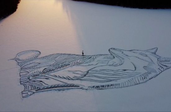 Crtež lisice u ledu