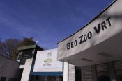 Beogradski zooloski vrt