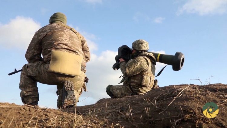 Ukrajina vojska