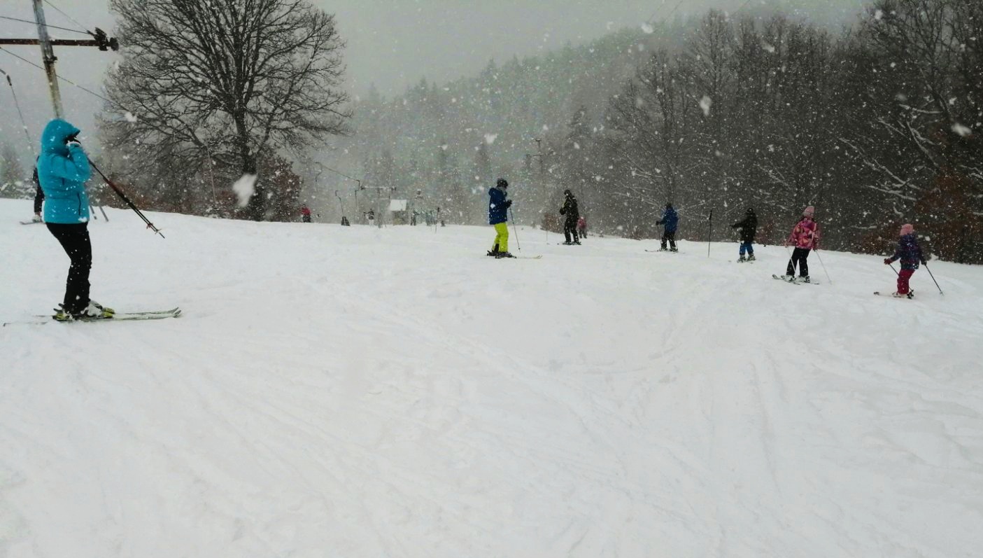 Tara, skijanje, zimovanje, sneg