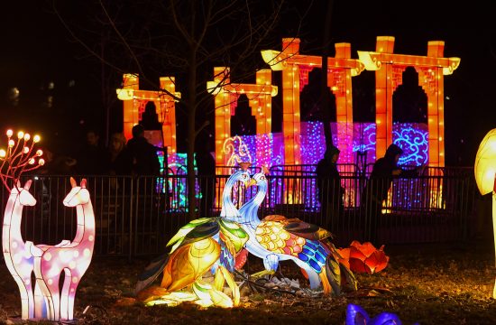 Kineski festival svetla, Kineski festival svetlosti, lampioni, Kineska Nova godina