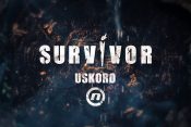 Survivor Nova S