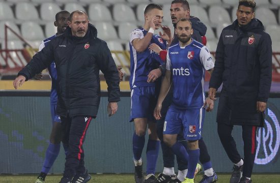 Dejan Stanković, FK Crvena zvezda