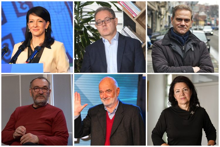 Marinika Tepić, Zoran Lutovac, Borko Stefanović, Siniša Kovačević, Vladeta Janković i Sanda Rašković Ivić,