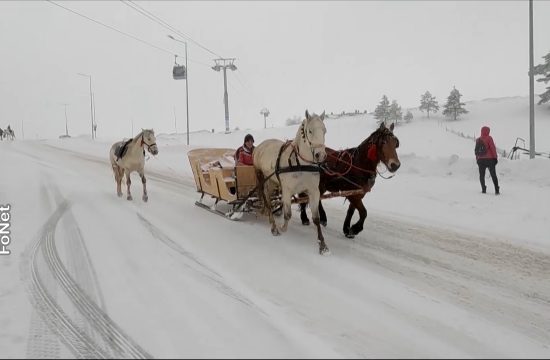 Snežna mećava na Zlatiboru