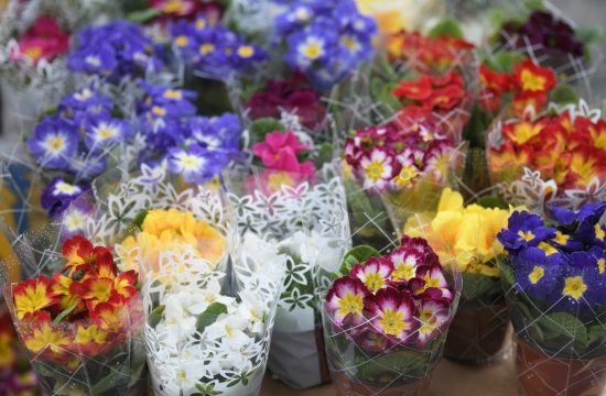 Međunarodni praznik, osmi mart, dan žena, 8.mart , cveće, prodavci cveća,