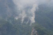 Crna Gora, požar, šumski požar