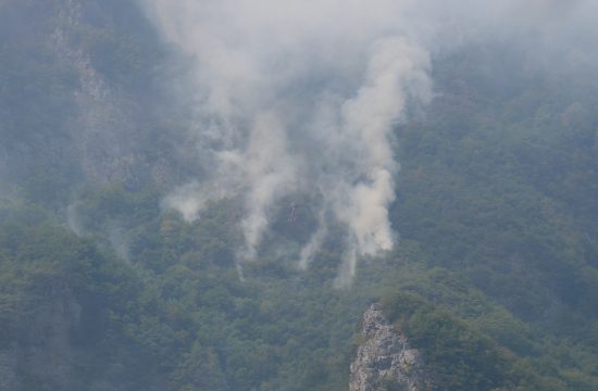 Crna Gora, požar, šumski požar