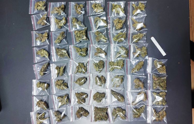 Stara Pazova, marihuana, droga, trava, hapšenje