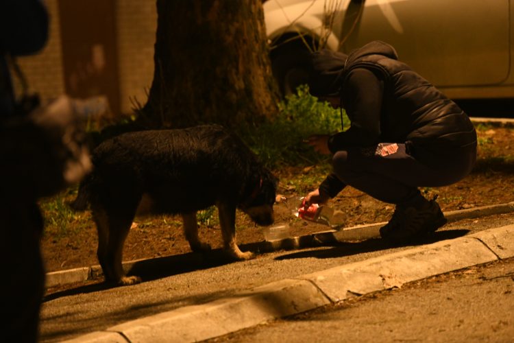 Mirijevo, eksplozija, požar, hronika