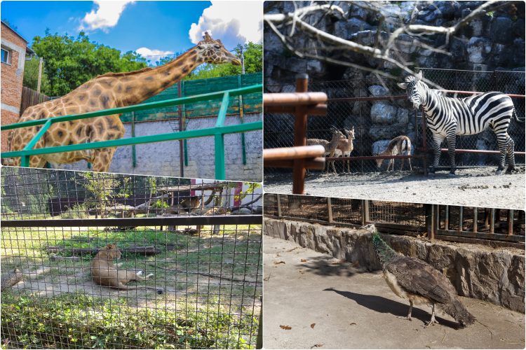 Zooloski vrt Beograd Bor Palic i Jagodina