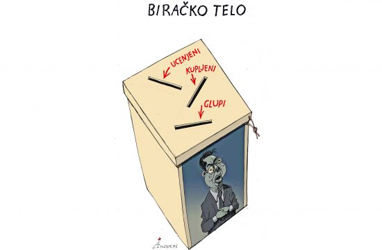 Biračko telo Karikatura: Dušan Petričić/Nova.rs