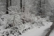 Sneg u Ivanjici FOTO: Ljubica Sokić