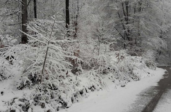 Sneg u Ivanjici FOTO: Ljubica Sokić