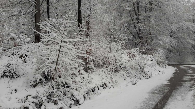 Sneg u Ivanjici FOTO: Ljubica Sokić