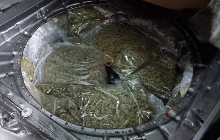 Kraljevo Zaplena, kanabis, trava, droga, 40 kilograma