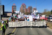 Demonstranti šetnja Brankov most