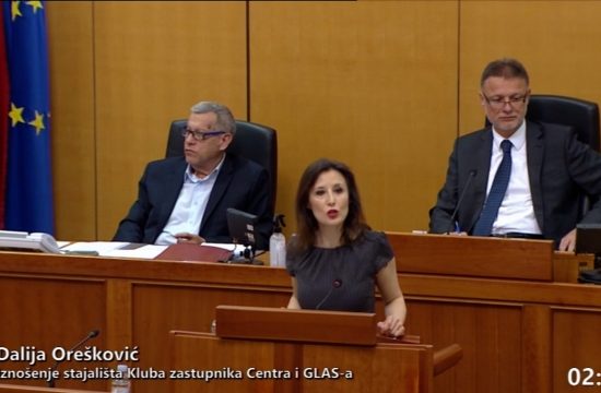 Konstrakta stigla i do hrvatskog Sabora: Zastupnica mora biti zdrava