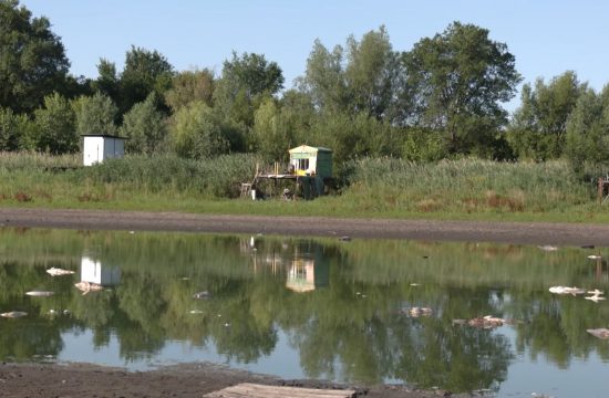 JEZERO SOMBOR, Zbog vrućine-3 tone skuvane ribe u jezeru Čonoplja, prilog, emisija Među nama, Medju nama Nova S