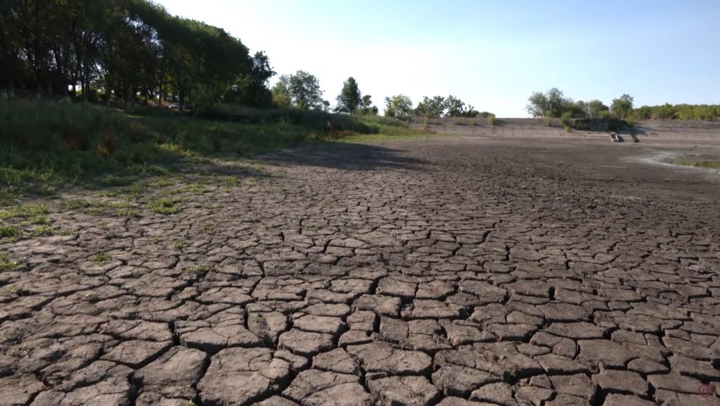 JEZERO SOMBOR, Zbog vrućine-3 tone skuvane ribe u jezeru Čonoplja, prilog, emisija Među nama, Medju nama Nova S