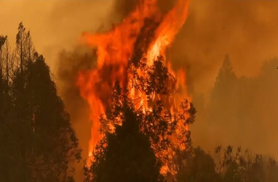 Požar u Kaliforniji, ugrožen Nacionalni park Josemiti